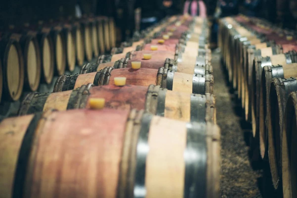 Wooden wine kegs in proper storage conditions