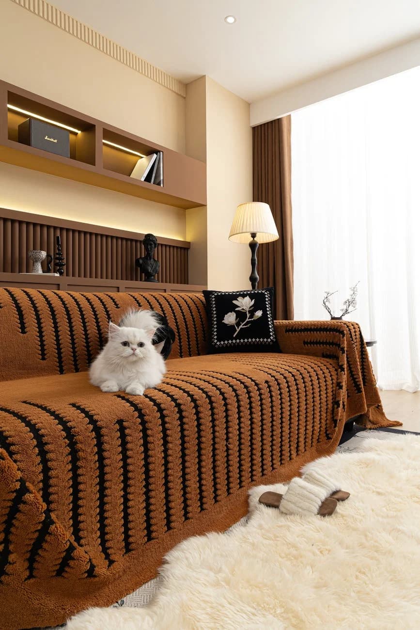 A Fluffy Cat Sits On A Brown Sofa With D 3