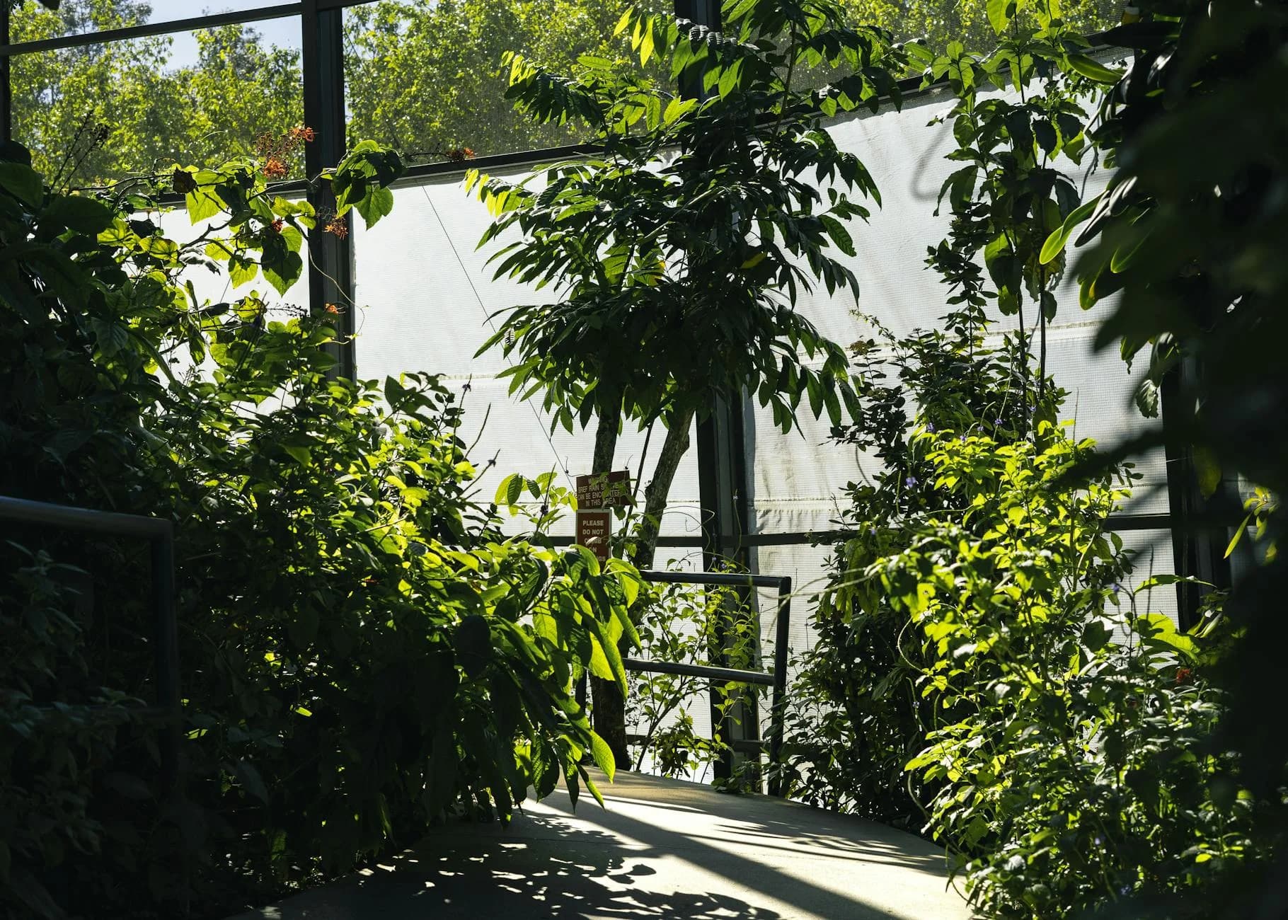 Loc Sunny Indoor Greenhouse With Vibrant Gre 1