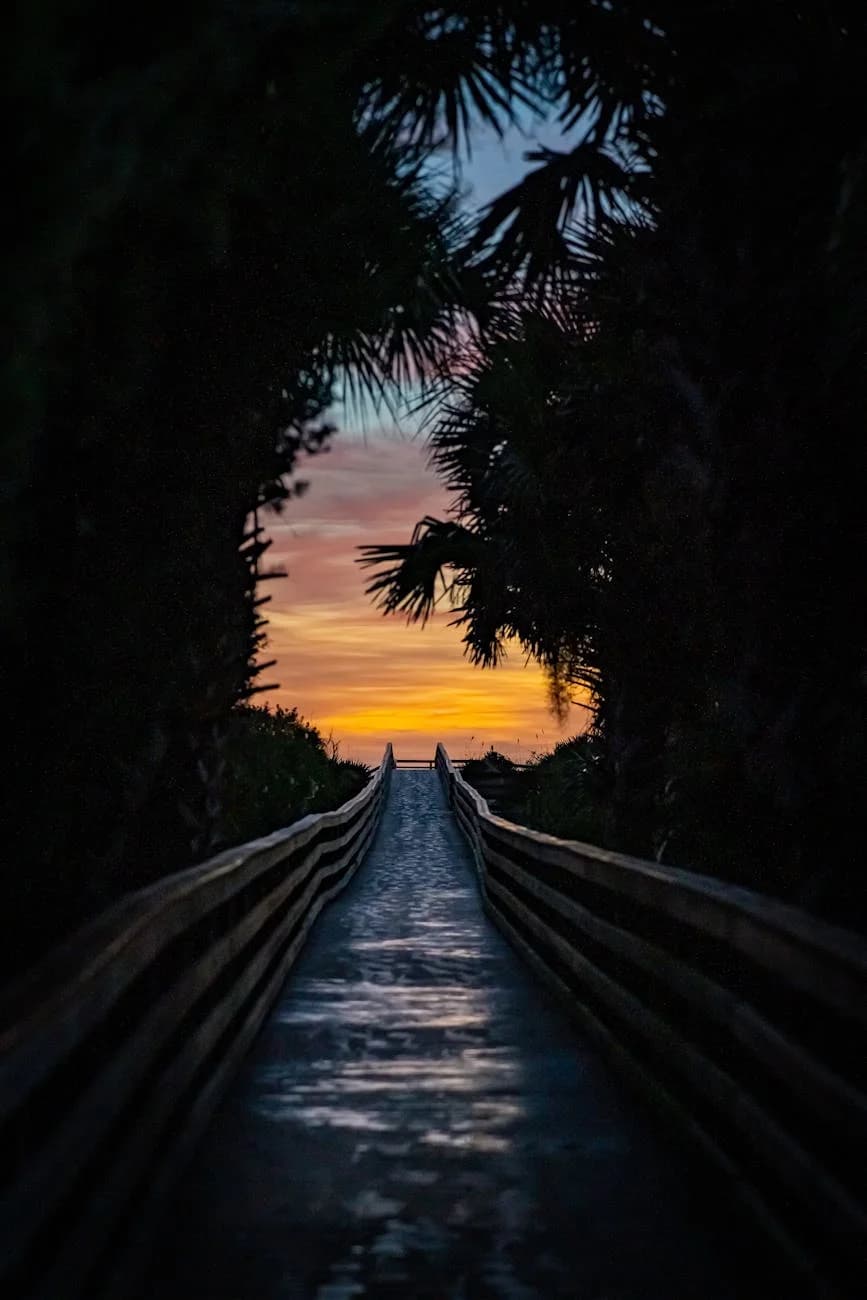 A Tranquil Boardwalk At Sunset Framed By 1