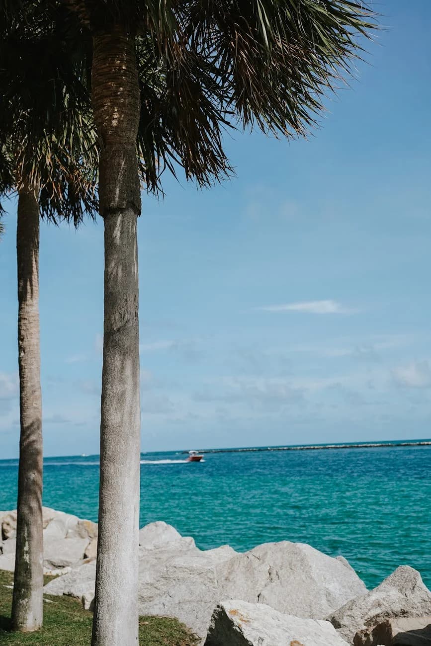 Scenic View Of Miami Beach With Palm Tre 4