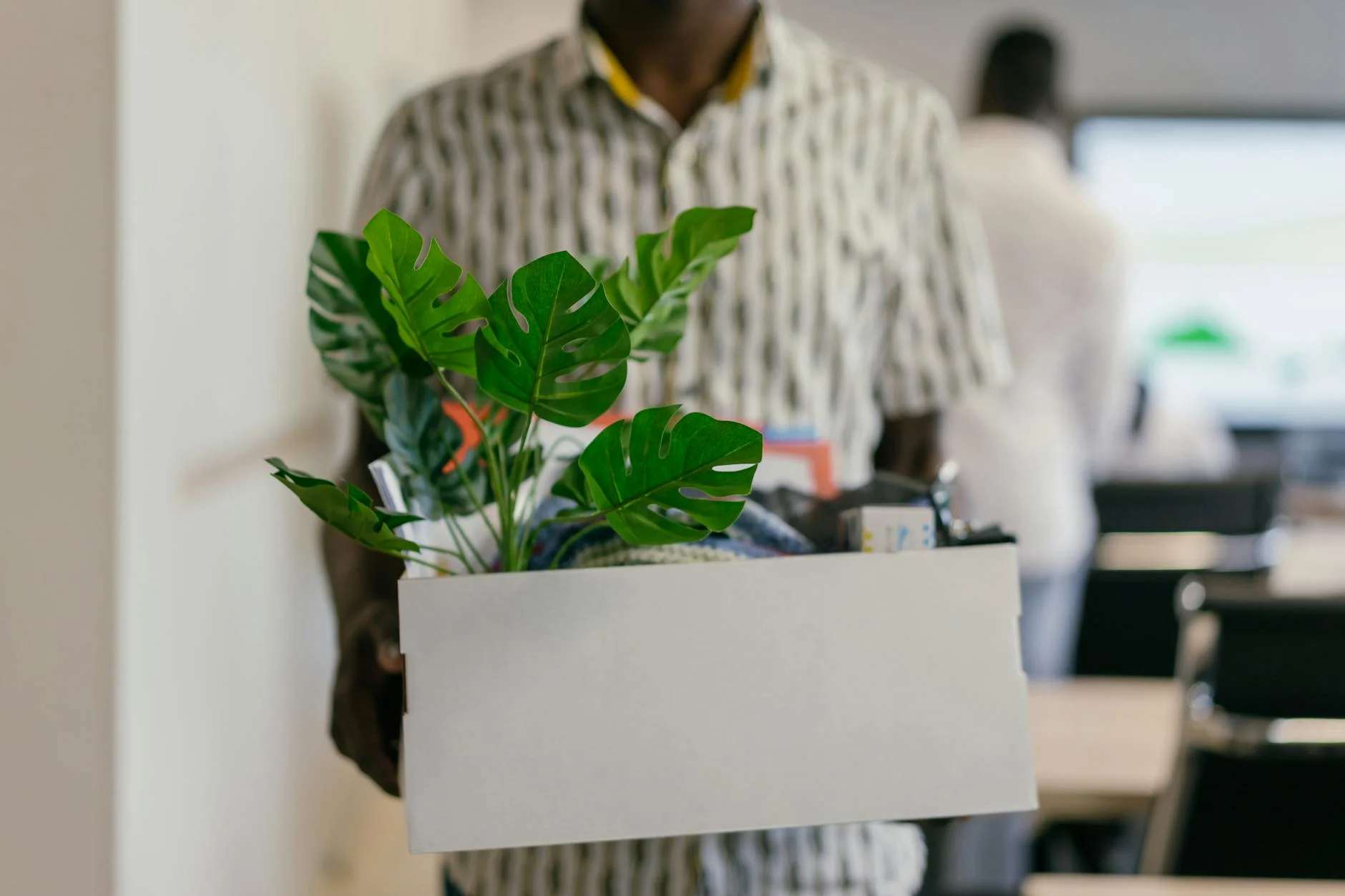 Adult Man Carrying Office Box With A Pla 2