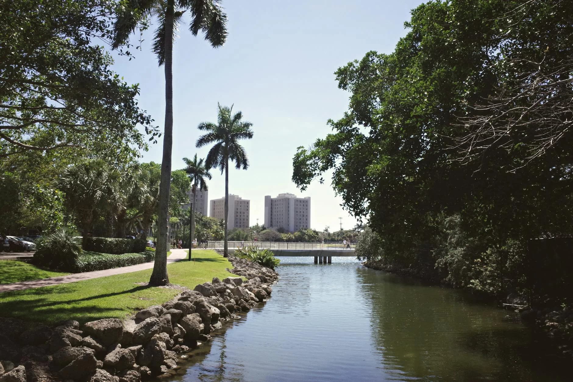 Tranquil University Campus View With Pal 4