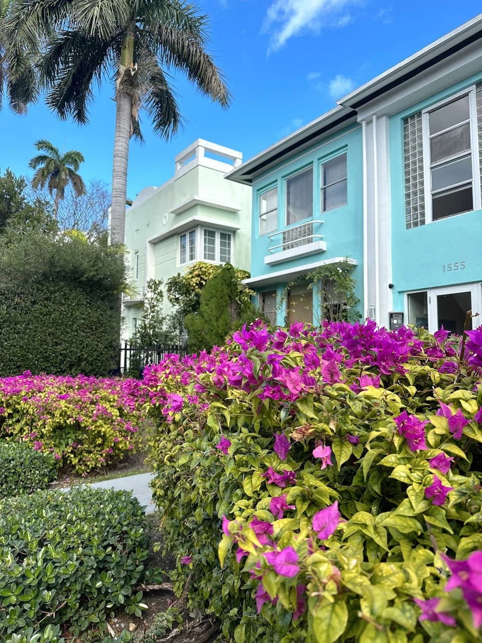 Vibrant Bougainvillea In Front Of Colorf 3