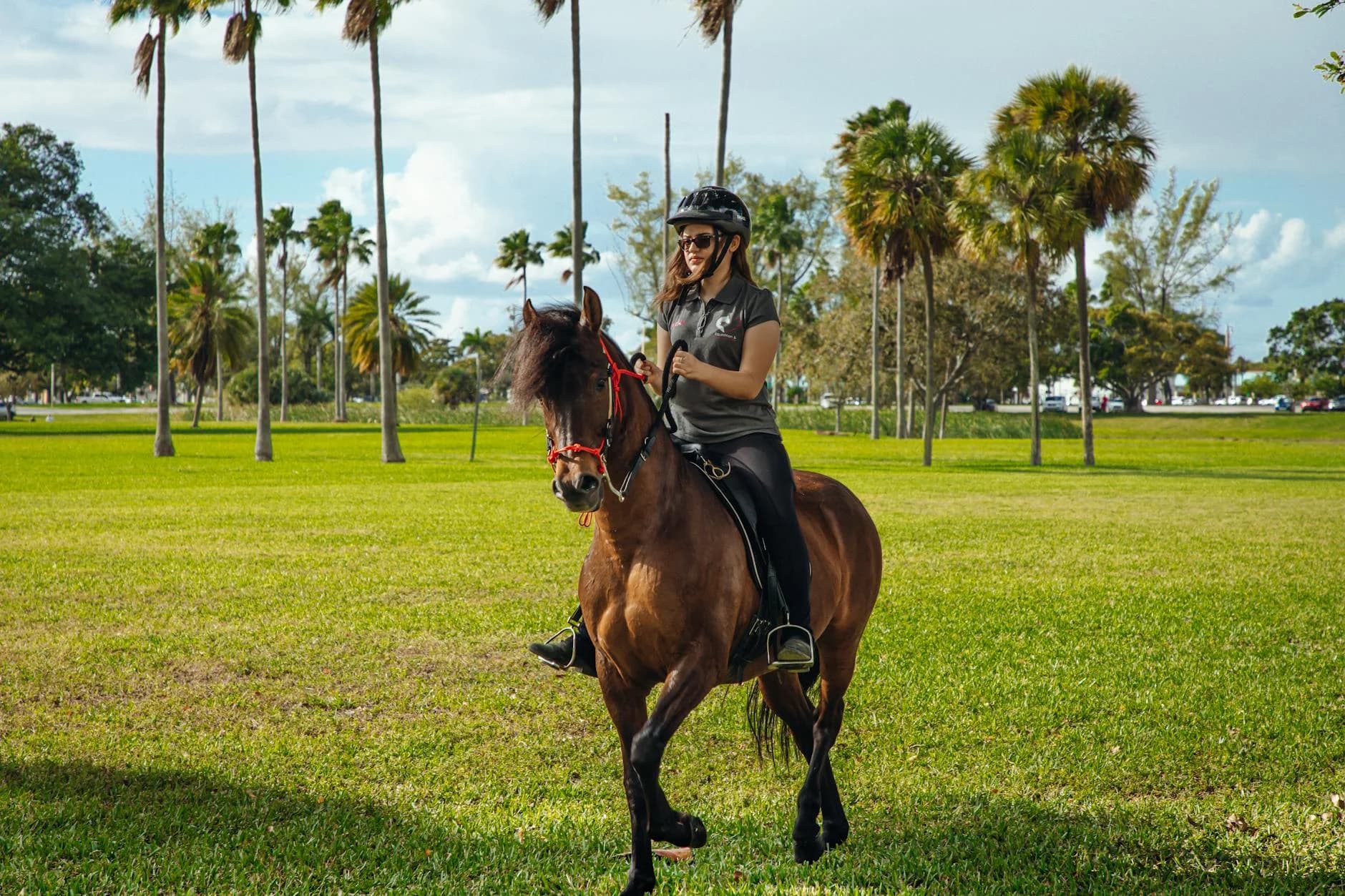 A Woman Enjoys Horseback Riding In A Sun 4