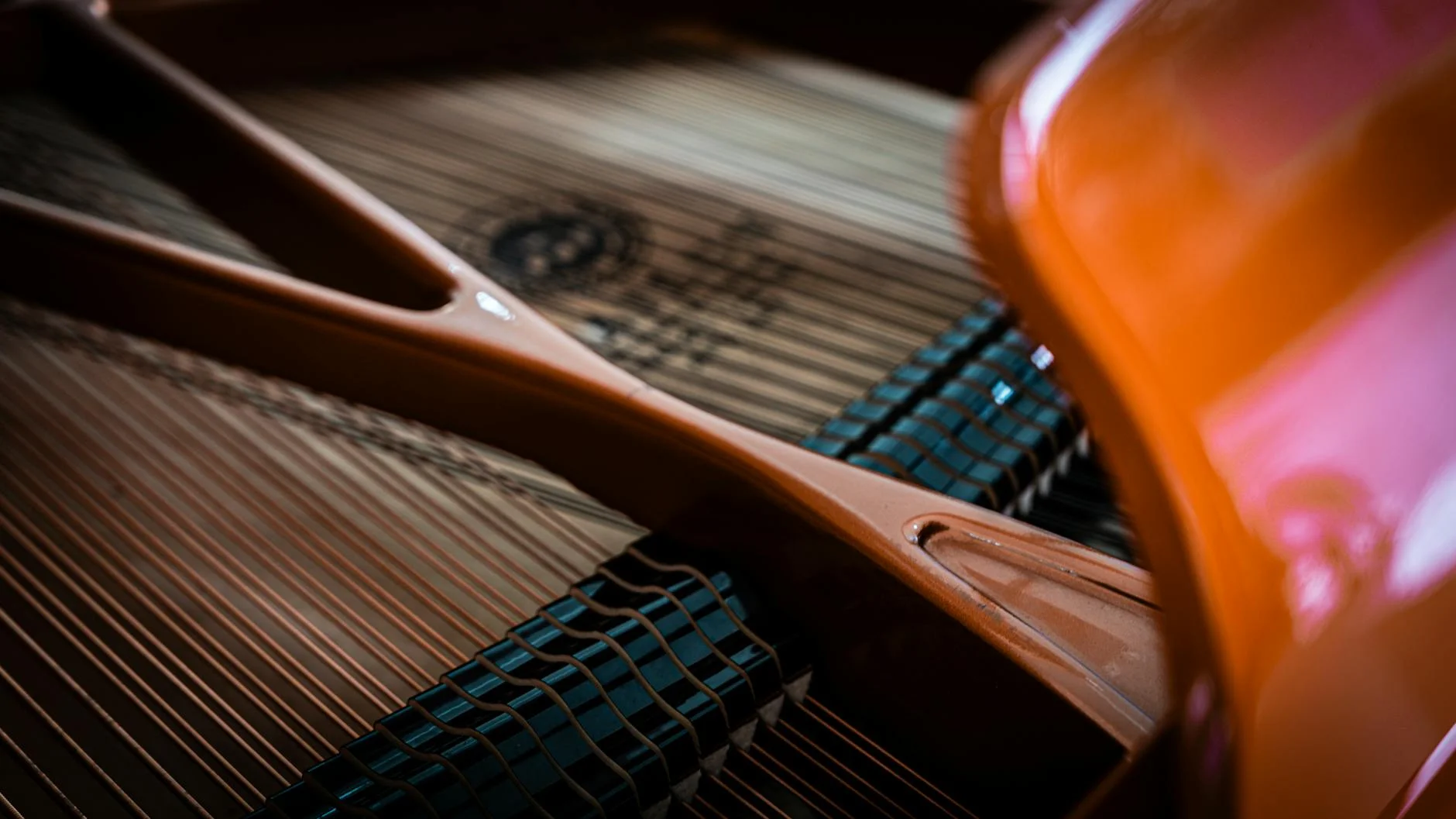 Detailed View Showing The Strings And Fr 2
