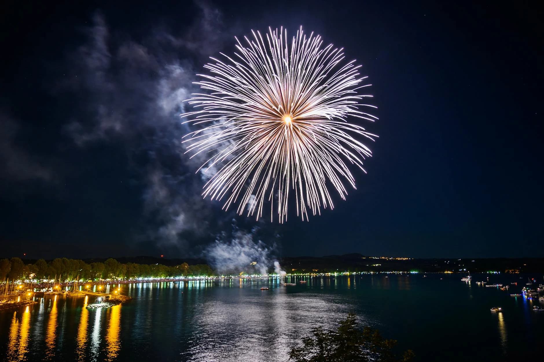 Feliz Ano Nuevo 2026 de Rapid Panda Movers