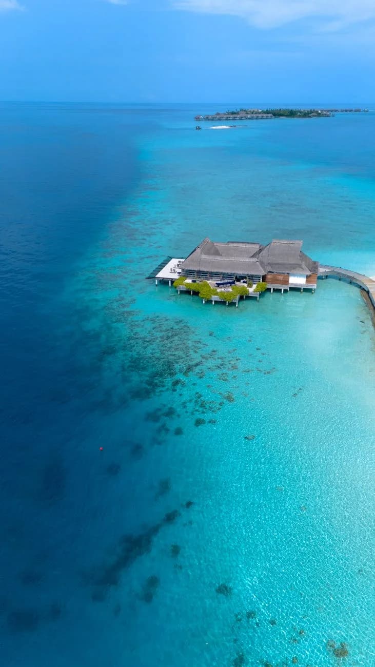 Lush Tropical Setting In Maldives Featur 1