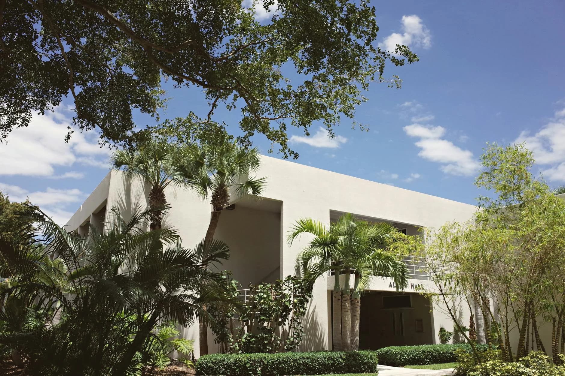 Escuelas de Palmetto Bay Clasificadas: Guía para Padres para Elegir el Distrito Correcto