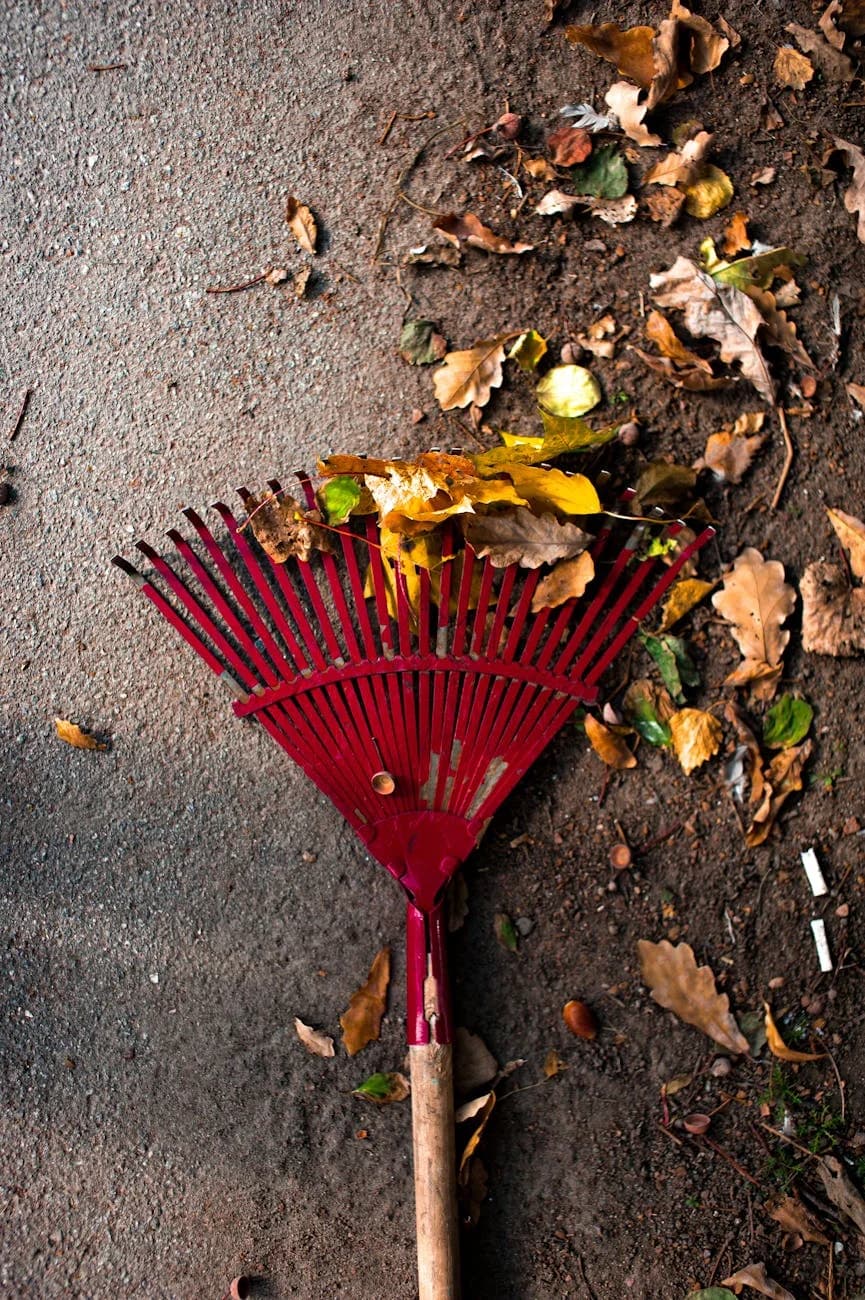 Close Up Of A Red Rake Amidst Fallen Aut 2