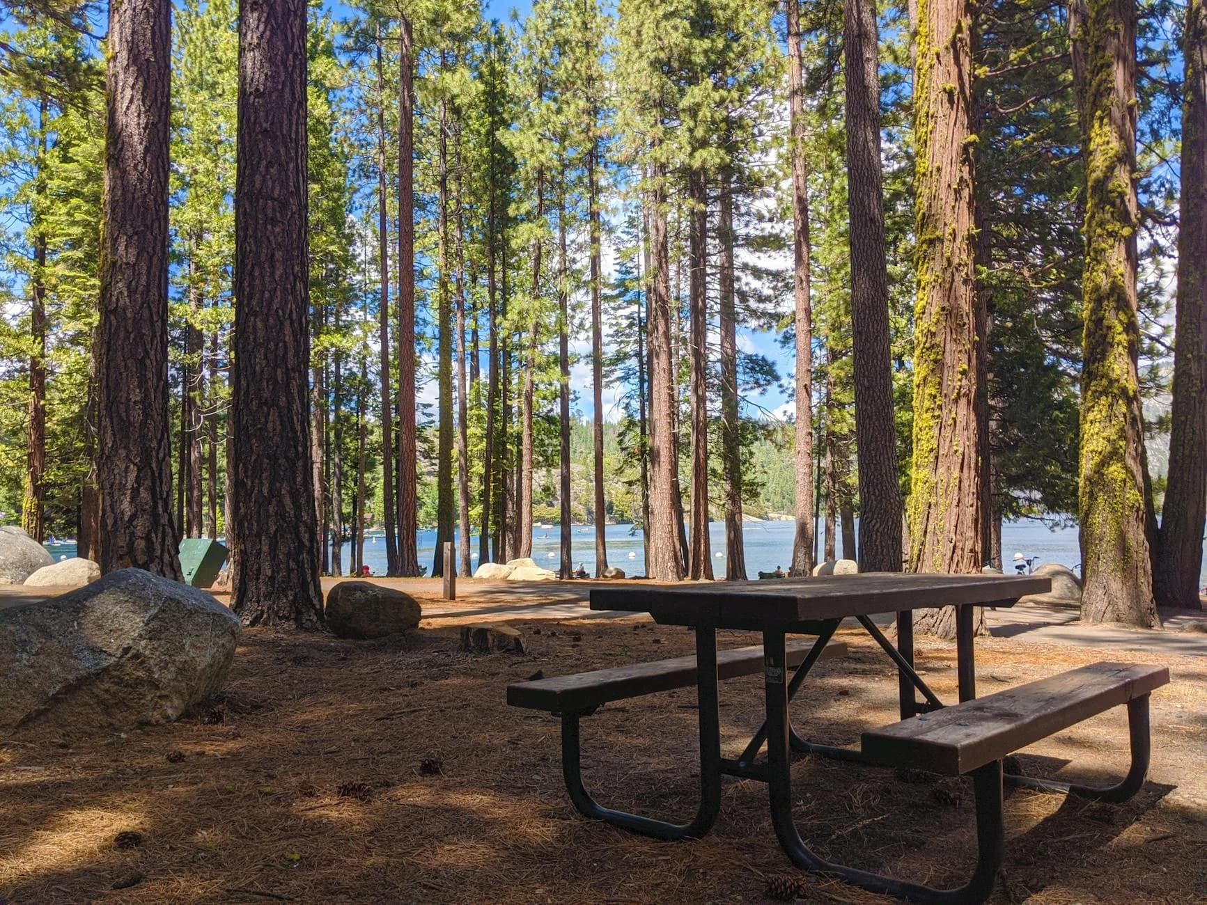 Peaceful Forest Scene At Pinecrest Lake 4
