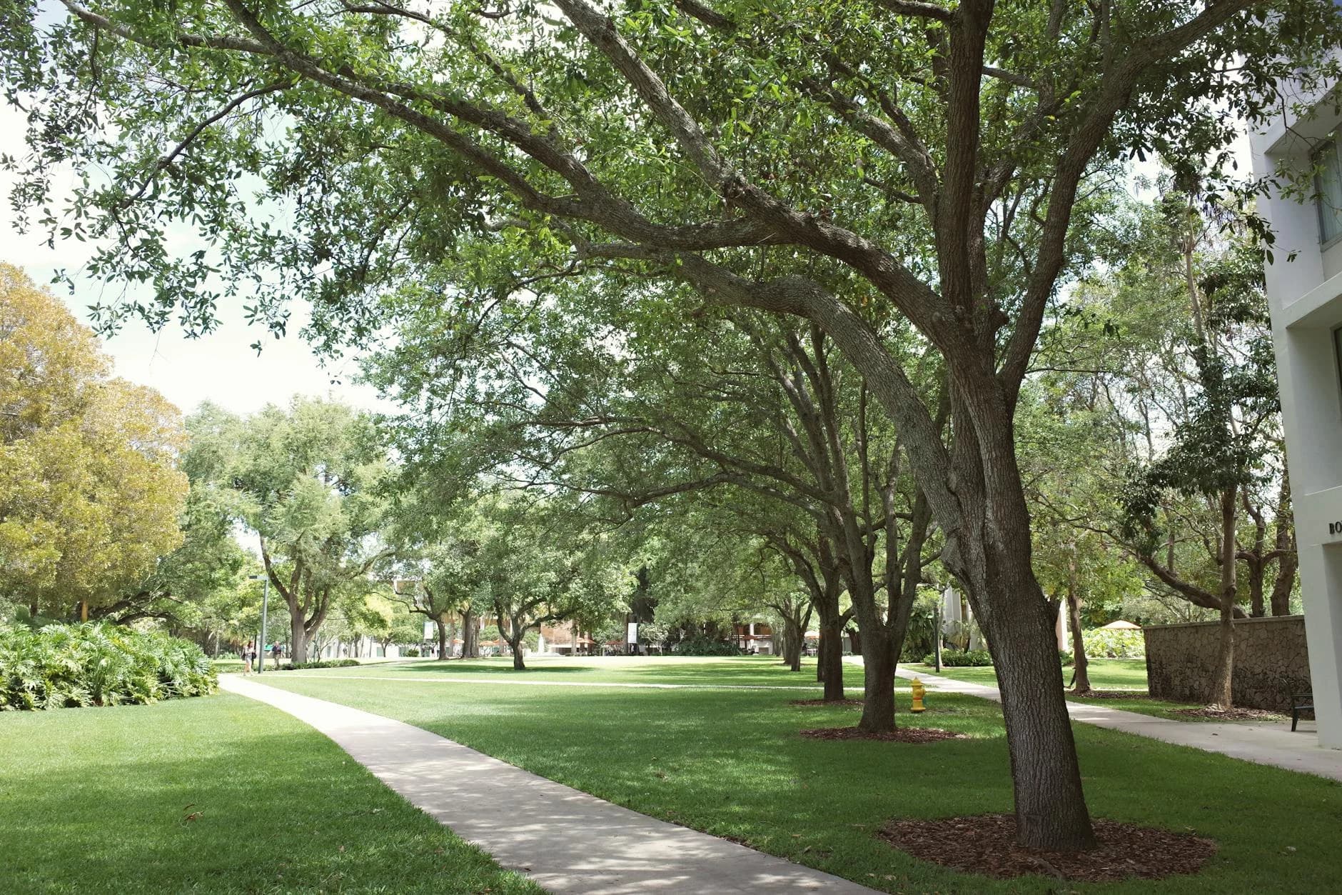 Exploring Coral Gables: Tips for Newcomers
