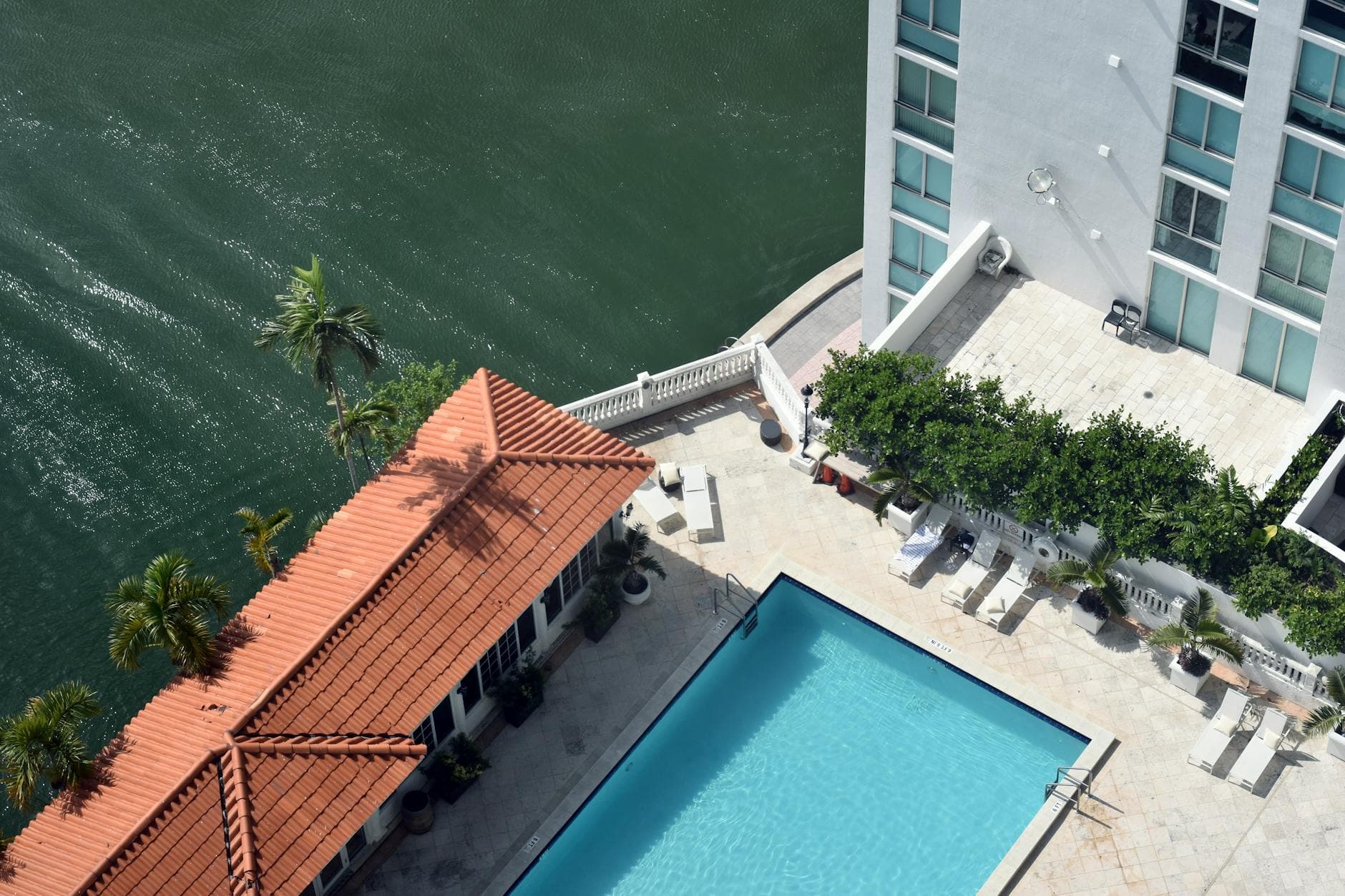 Starting Fresh in Miami Shores: A Newcomers Guide