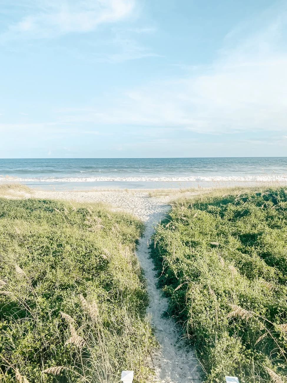Scenic View Of A Sandy Path Leading To O 4