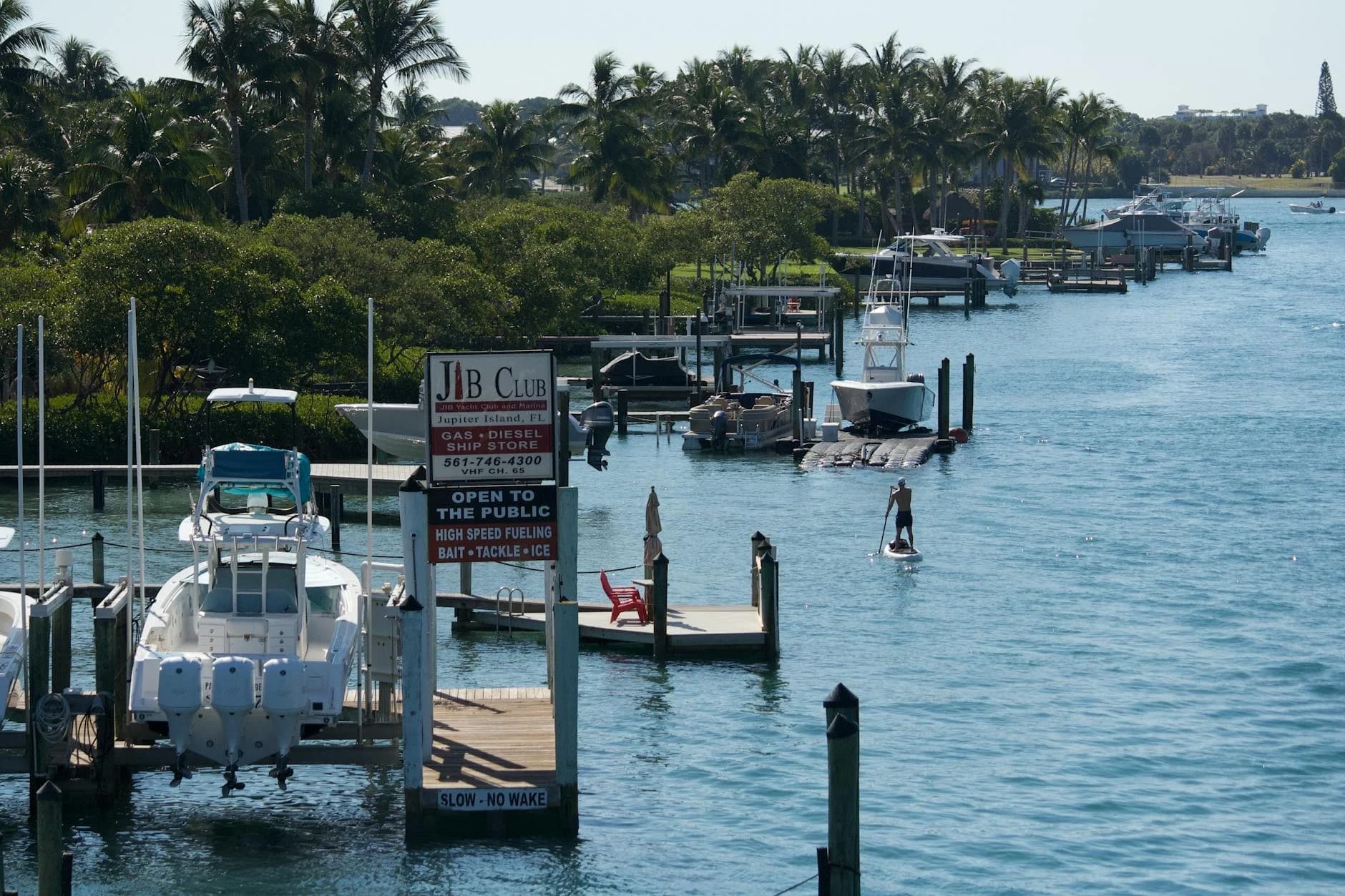 A Picturesque Marina With Boats Palm Tre 1
