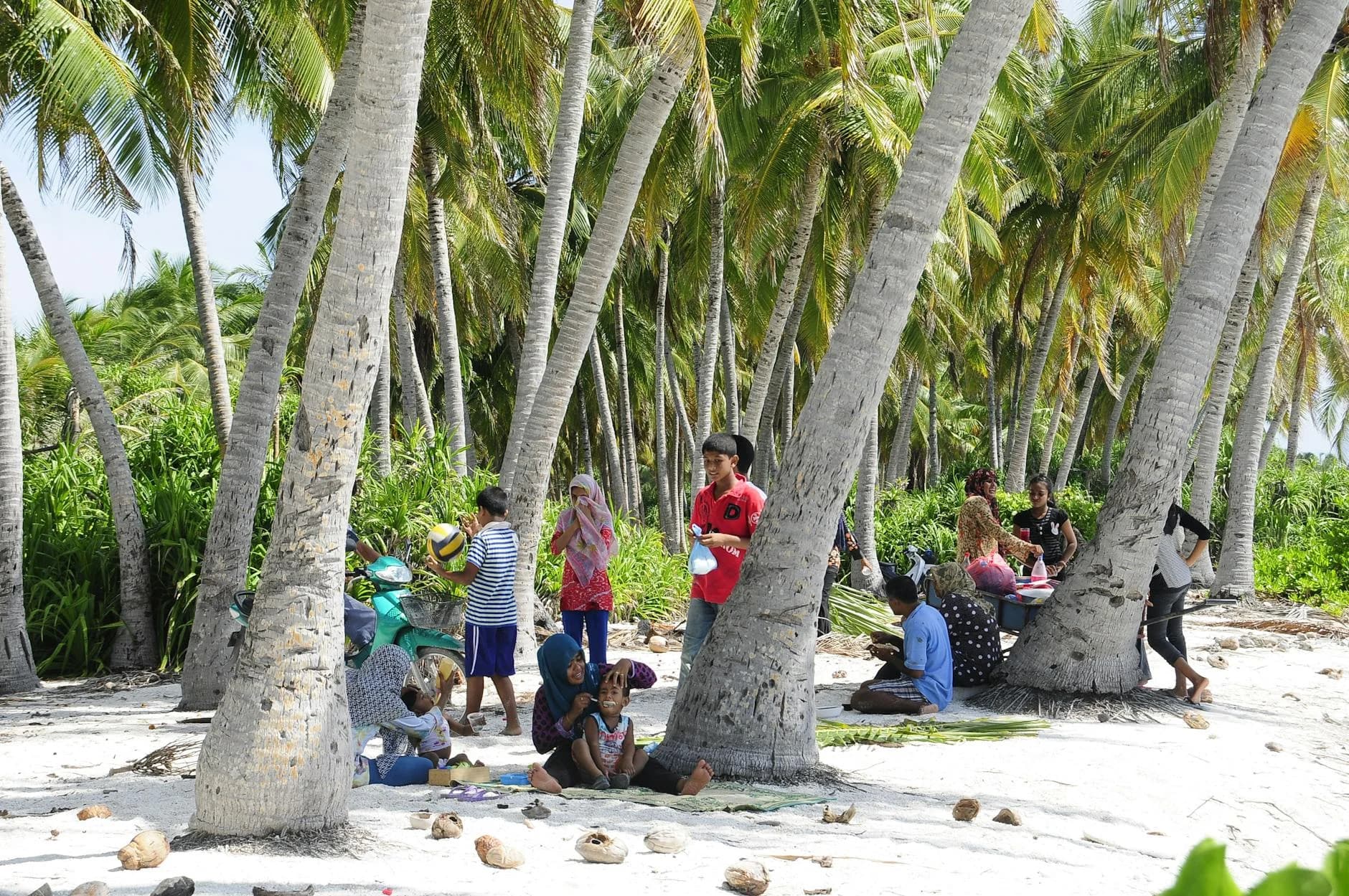 A Vibrant Group Enjoying A Sunny Day Und 3